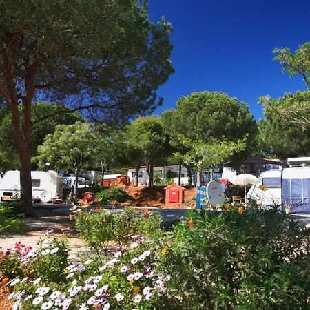 Campeggio Mobil-home 6 Pers, Terrasse à - Api-1-52-1925 *