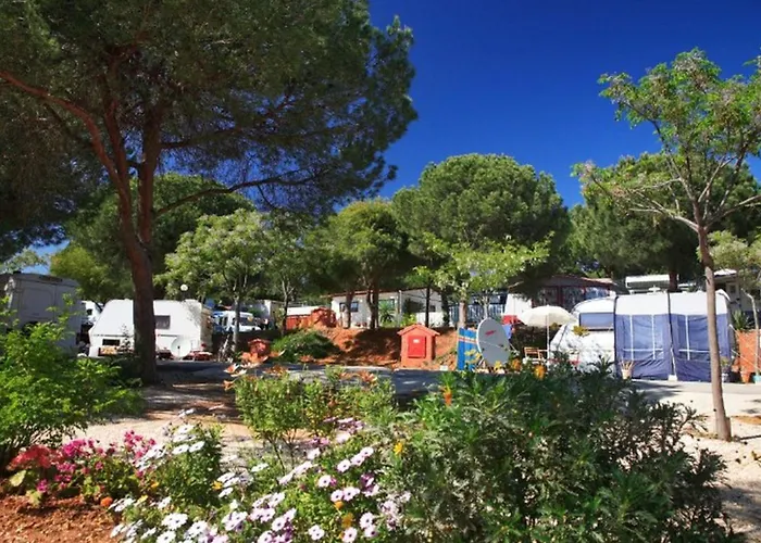Kemp Mobil-home 6 Pers, Terrasse A - Api-1-52-1925 *